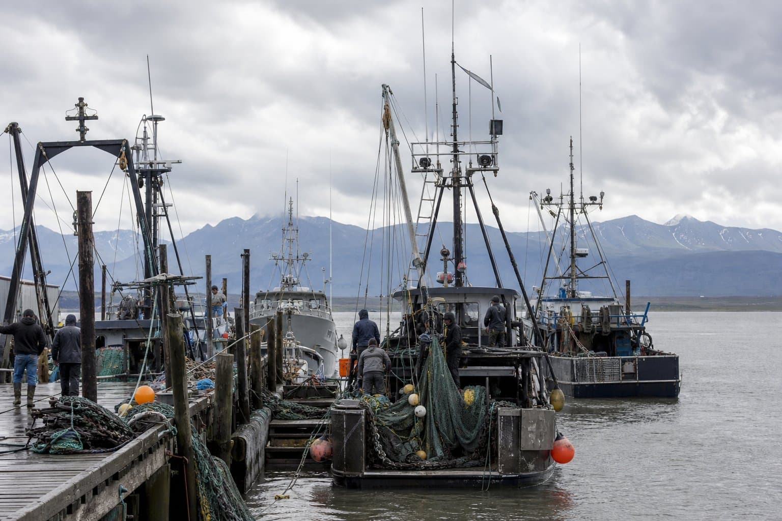 Cover image for article: Southern District purse seine fishery stays closed in Aug. 7 Lower Cook Inlet advisory