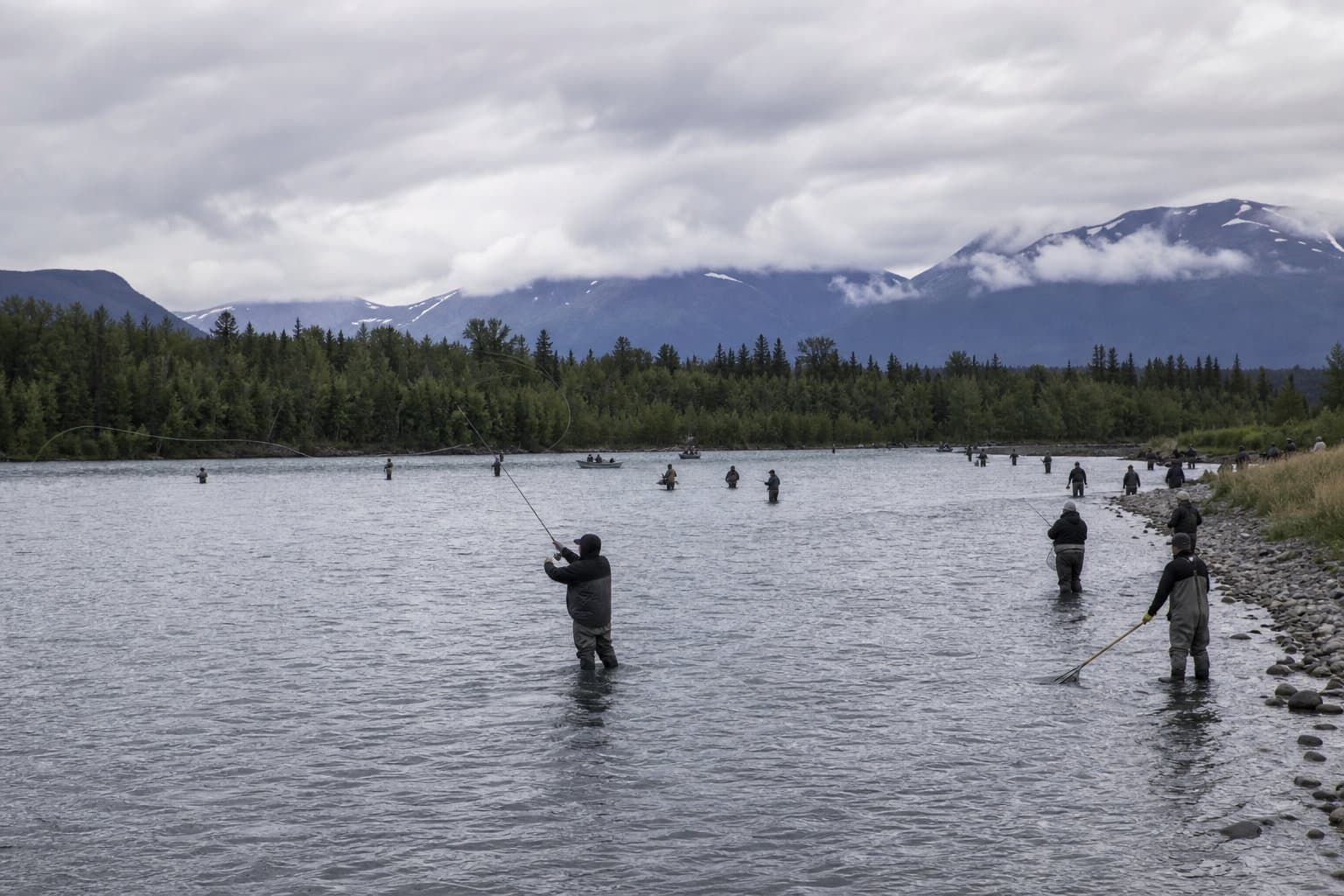 Cover image for article: The sockeye are running strong on the Kenai, and the state just doubled your limit