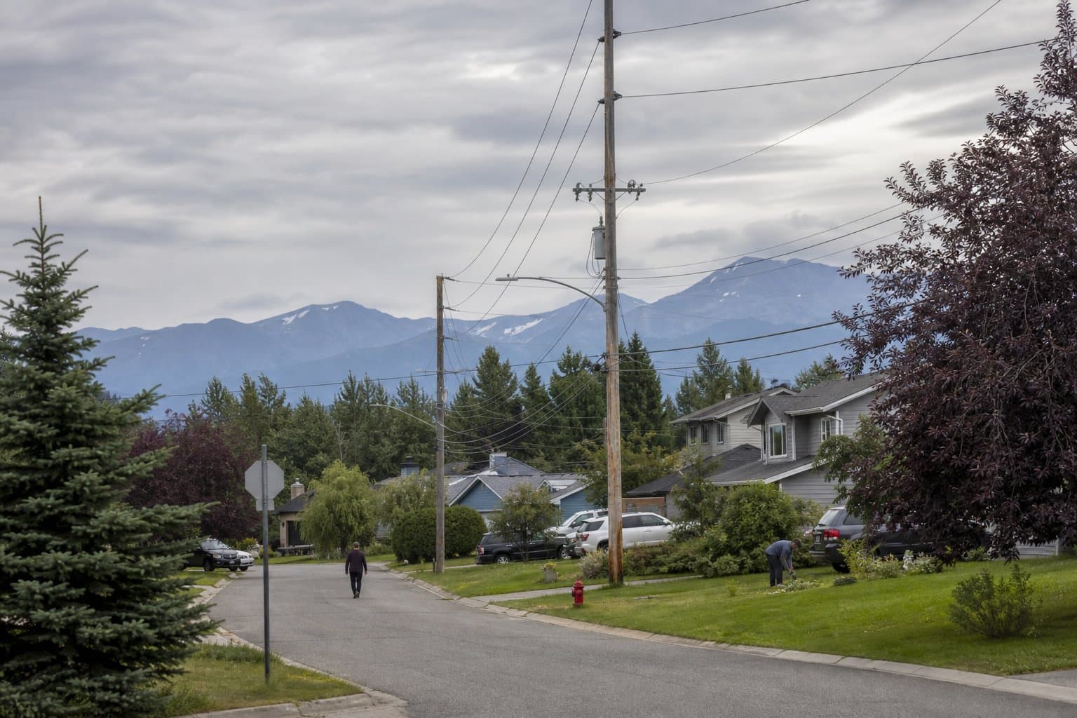 Cover image for article: Anchorage commission to weigh Chugach's revised Campbell Lake substation permit Aug. 10
