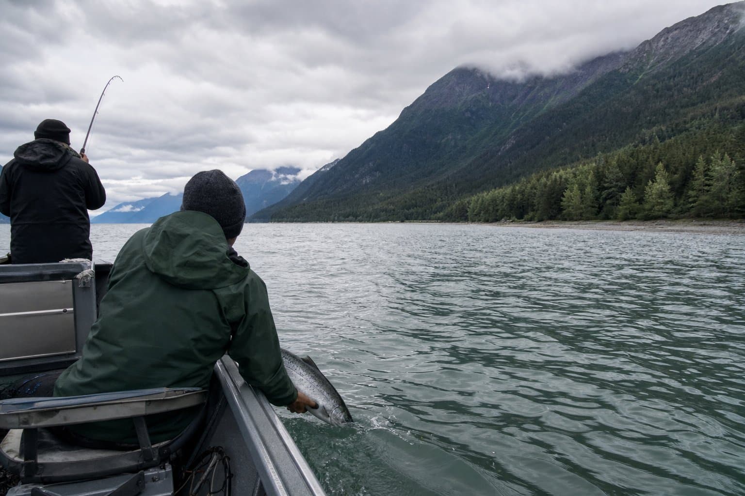 Cover image for article: Chilkat Inlet king salmon retention closed through September 30