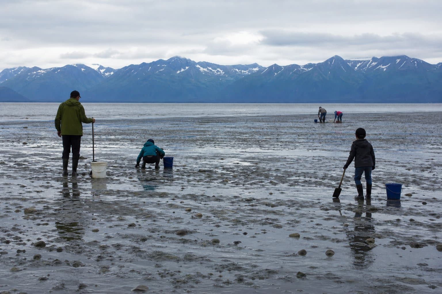 Cover image for article: Cook Inlet, North Gulf Coast clammers must report harvest by Dec. 31