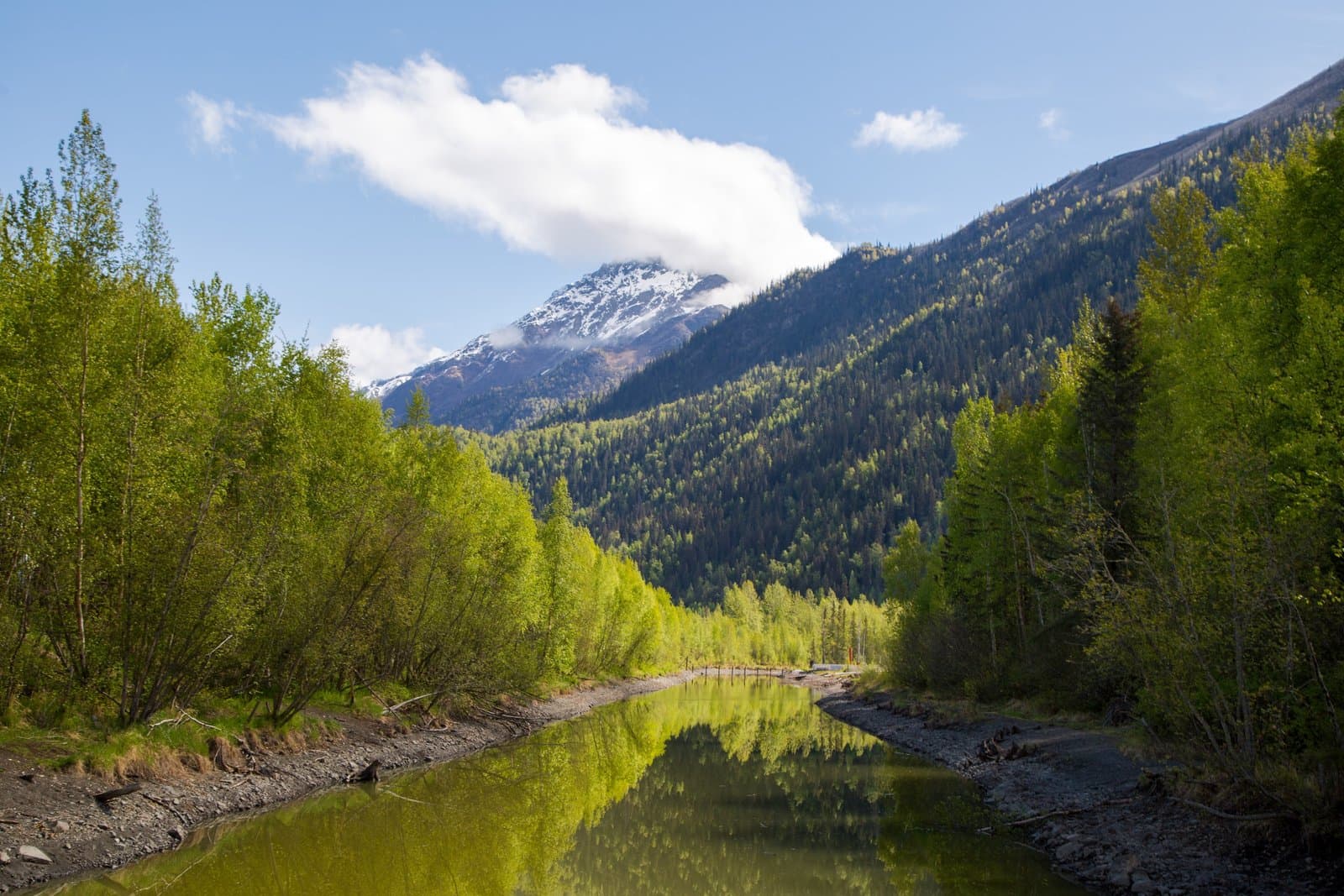 Cover image for article: Alaska Senate passes special education funding and Palmer judge bills