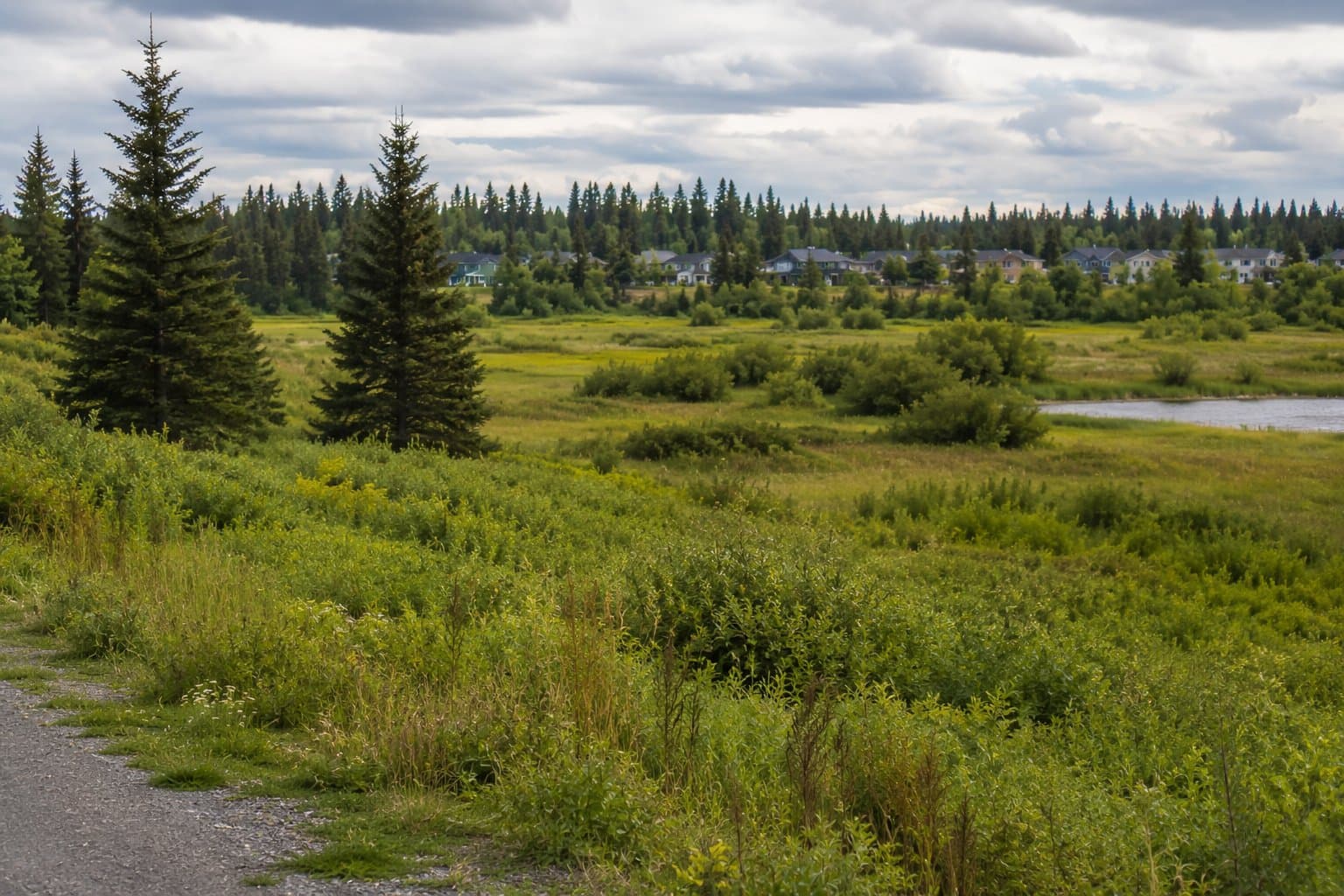 Cover image for article: Kenai Planning Commission recommends rural residential rezone, rejecting city's denser proposal
