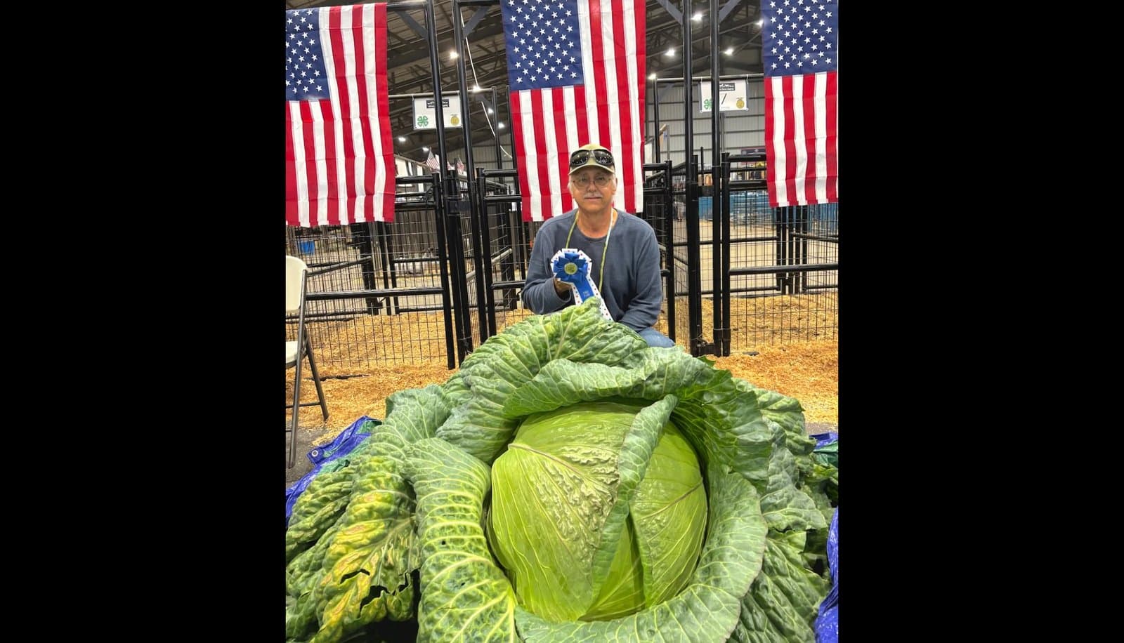 Cover image for article: Scott Robb won the state fair cabbage title with 122.7 pounds
