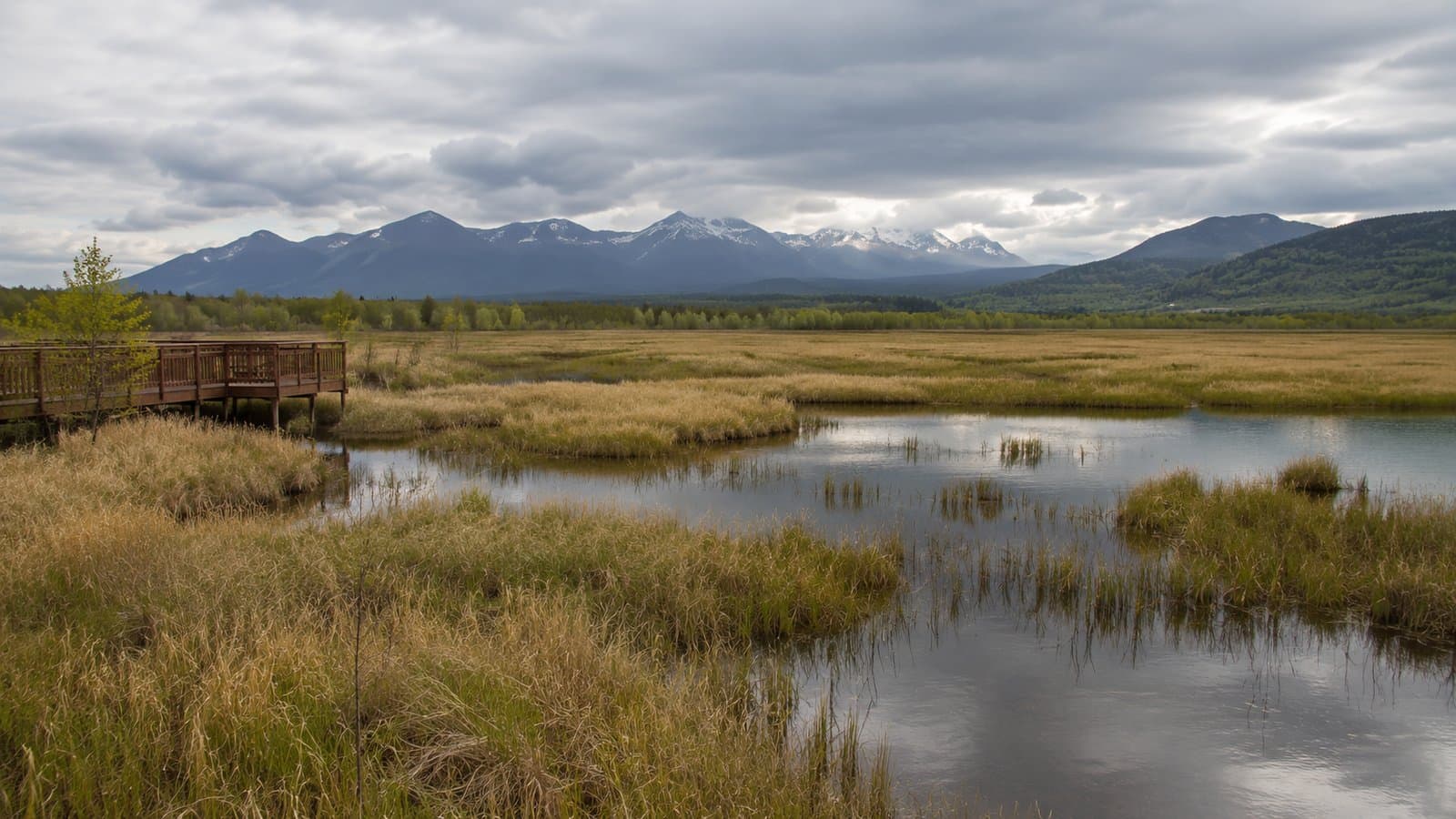Cover image for article: As federal wetland protections recede, Anchorage rewrites its own rules