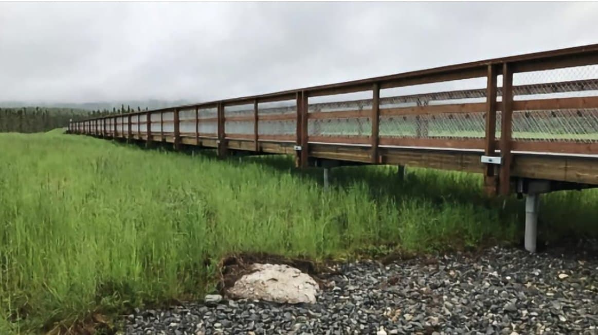 Cover image for article: Anchorage considers naming Northeast Connector Trail after Karen Bronga