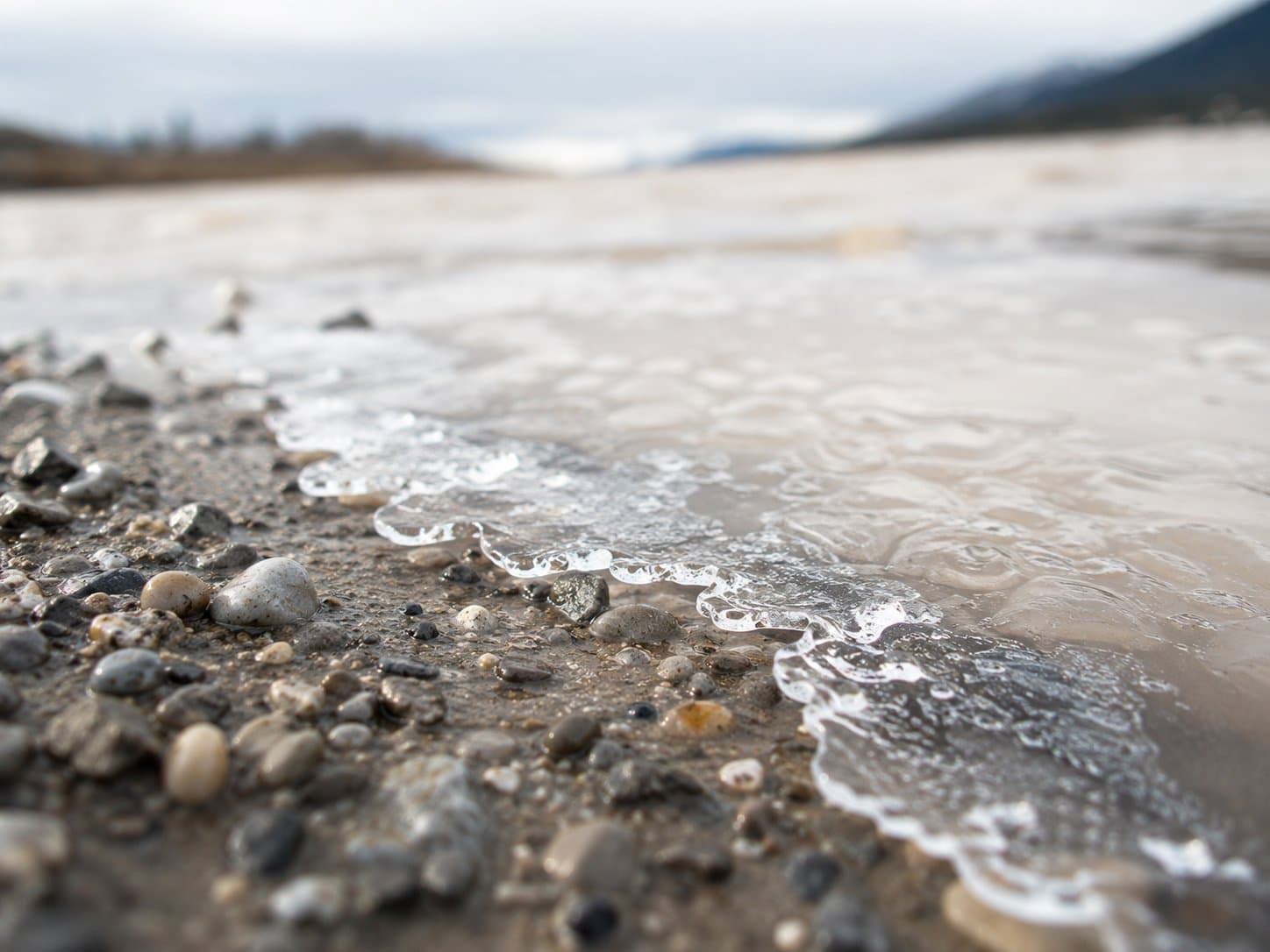 Cover image for article: King Salmon Fishing Closed Across Tanana Drainage Due to Yukon Forecast