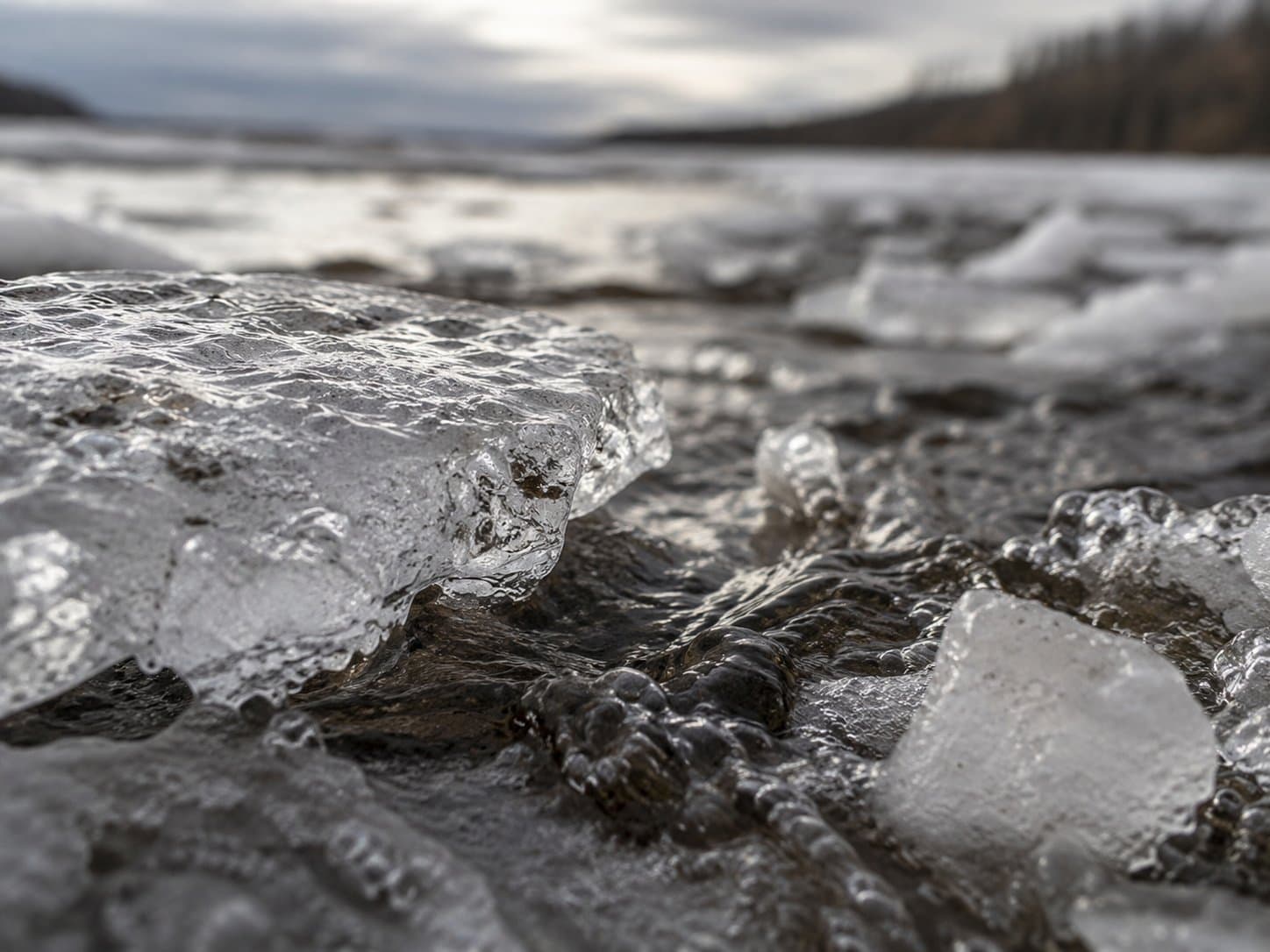 Cover image for article: Dunleavy declares disaster for Interior spring flooding