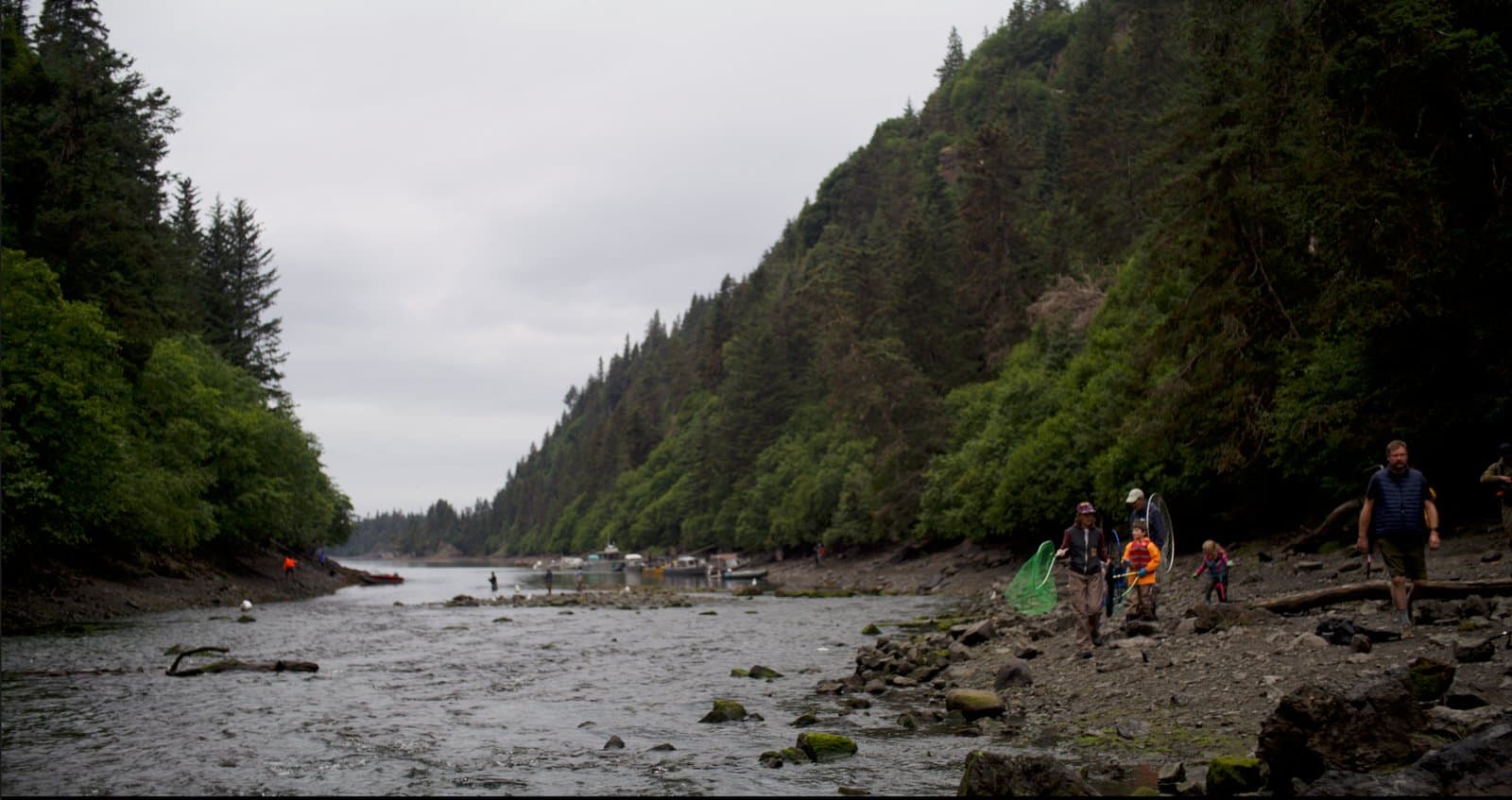 Cover image for article: Strong sockeye at China Poot, but clammers now need a permit before heading out