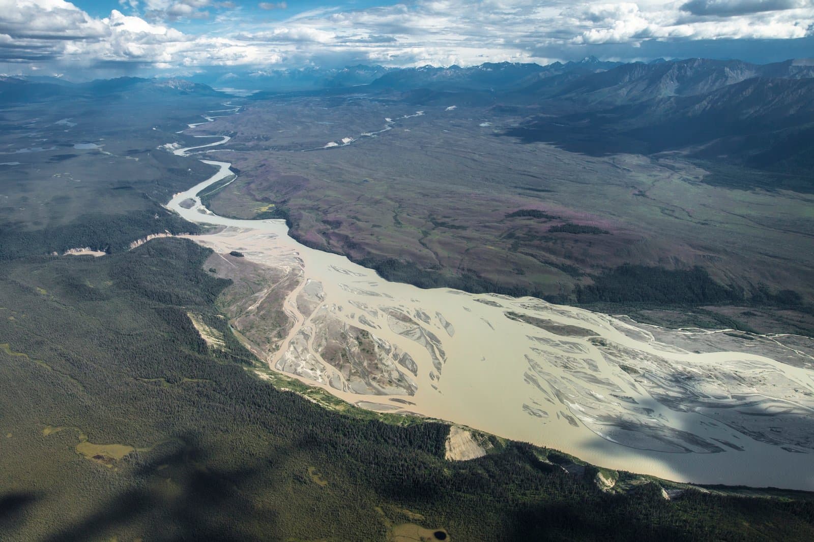 Cover image for article: Alaska opens Chitina dipnet fishery despite Copper River run 55% low