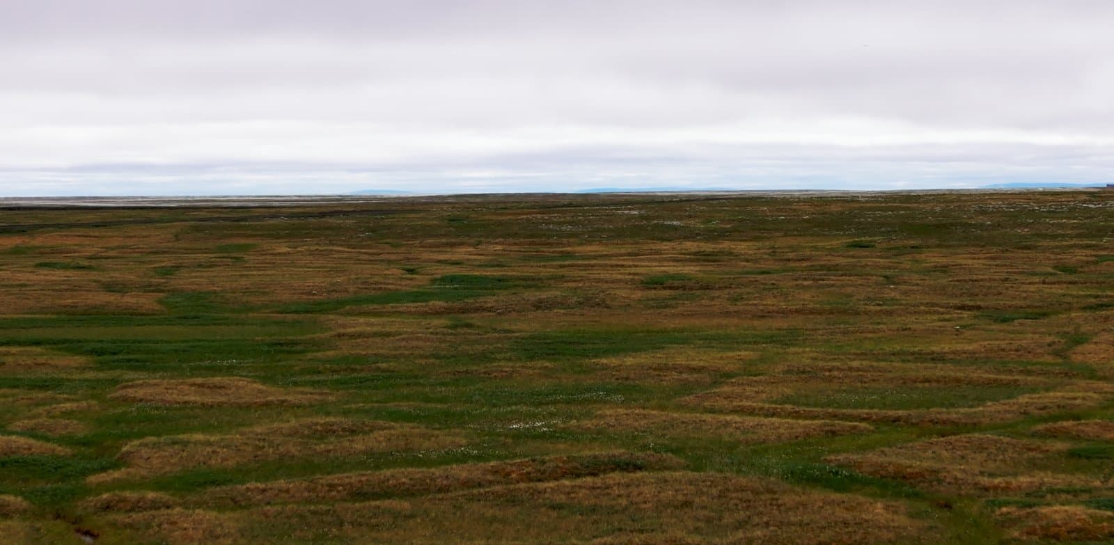 Cover image for article: DNR offers 50-year North Slope lease for gas-powered data center