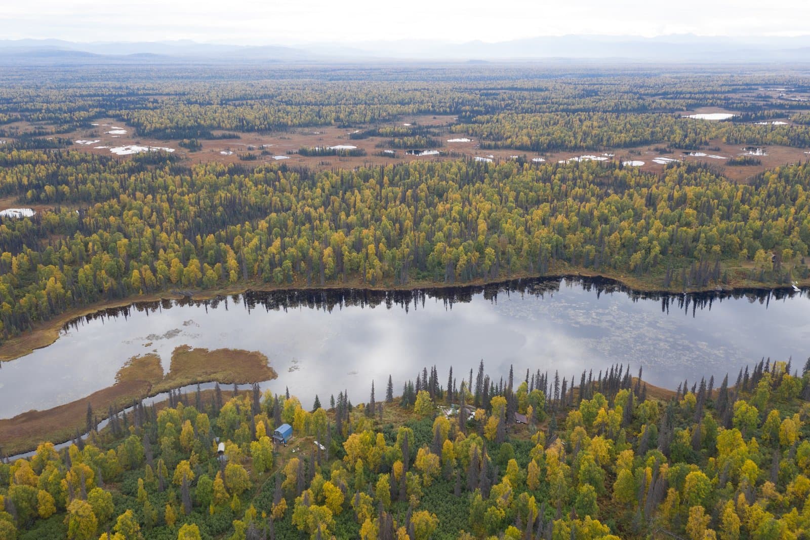 Cover image for article: The Mat-Su Valley's king salmon fisheries are closed — Anchorage's closest king water joins the Kenai on the bench