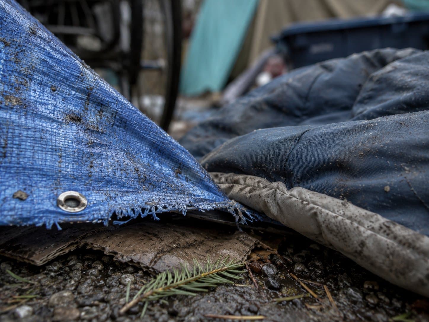 Cover image for article: Anchorage sees 28% drop in unsheltered homelessness as shelters reach capacity