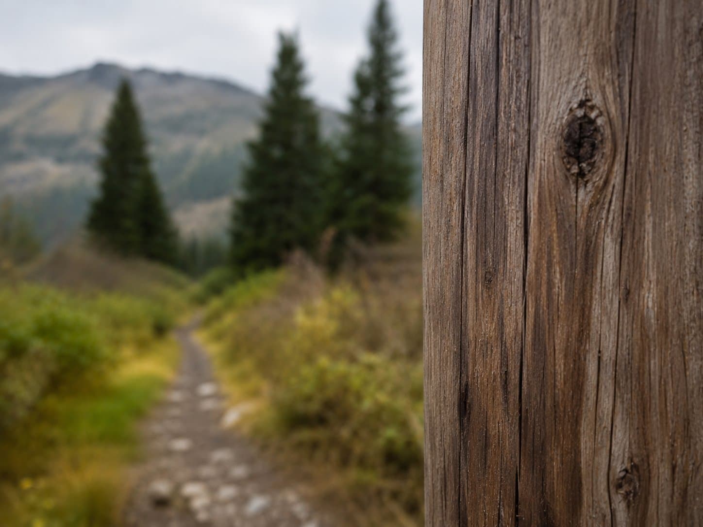 Cover image for article: Chugach Electric wins easement for power line at Community Park Loop