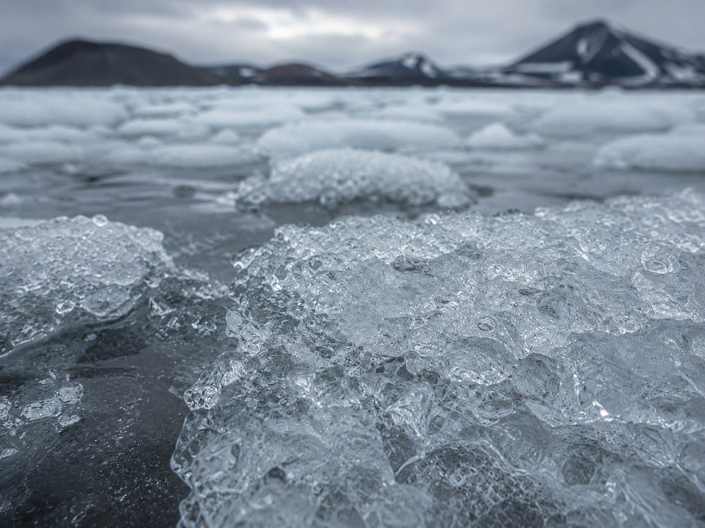 Cover image for article: UAF scientist leads $36K Antarctic sea ice study amid record lows