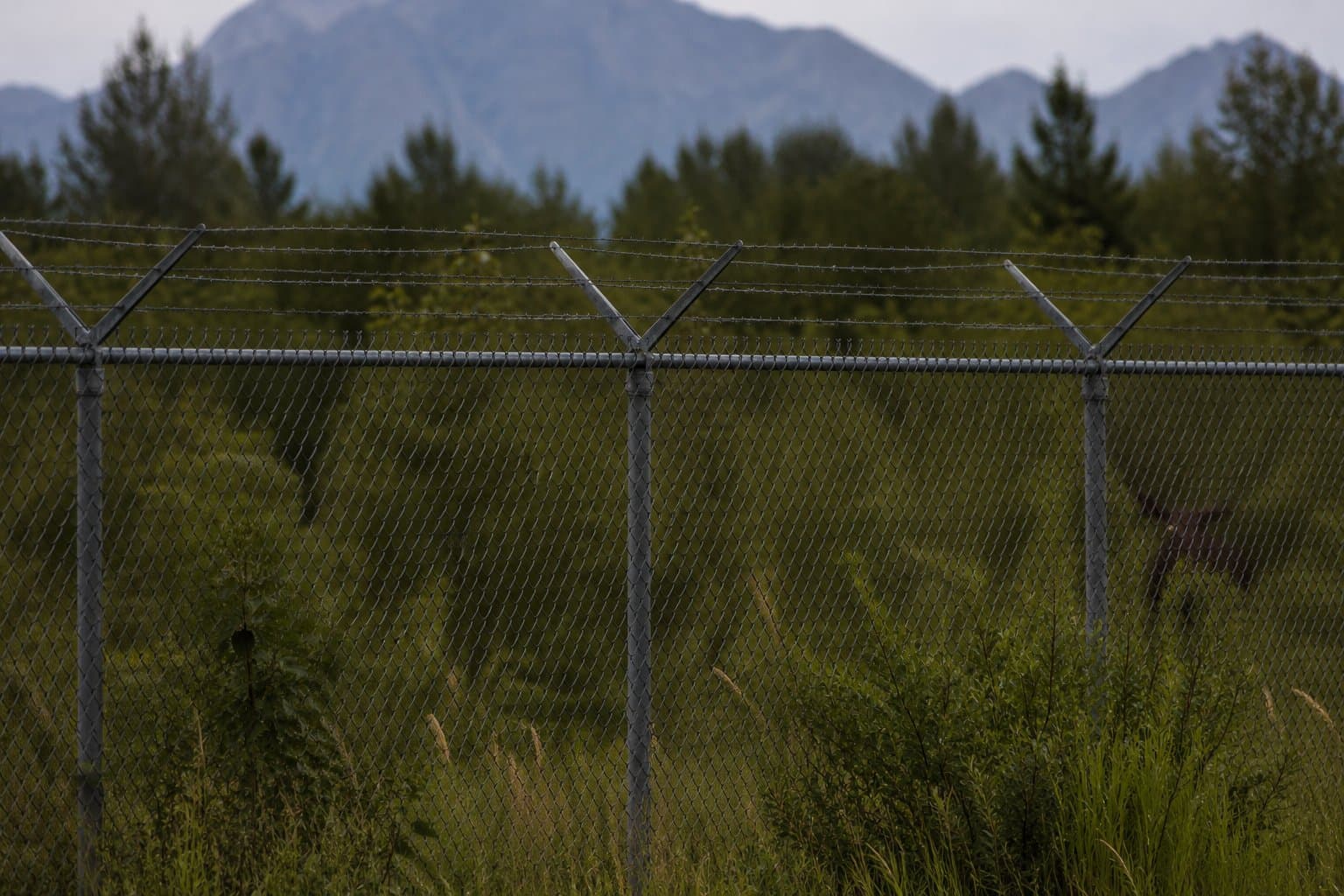 Cover image for article: JBER plans 7-mile barbed-wire fence along Anchorage neighborhoods