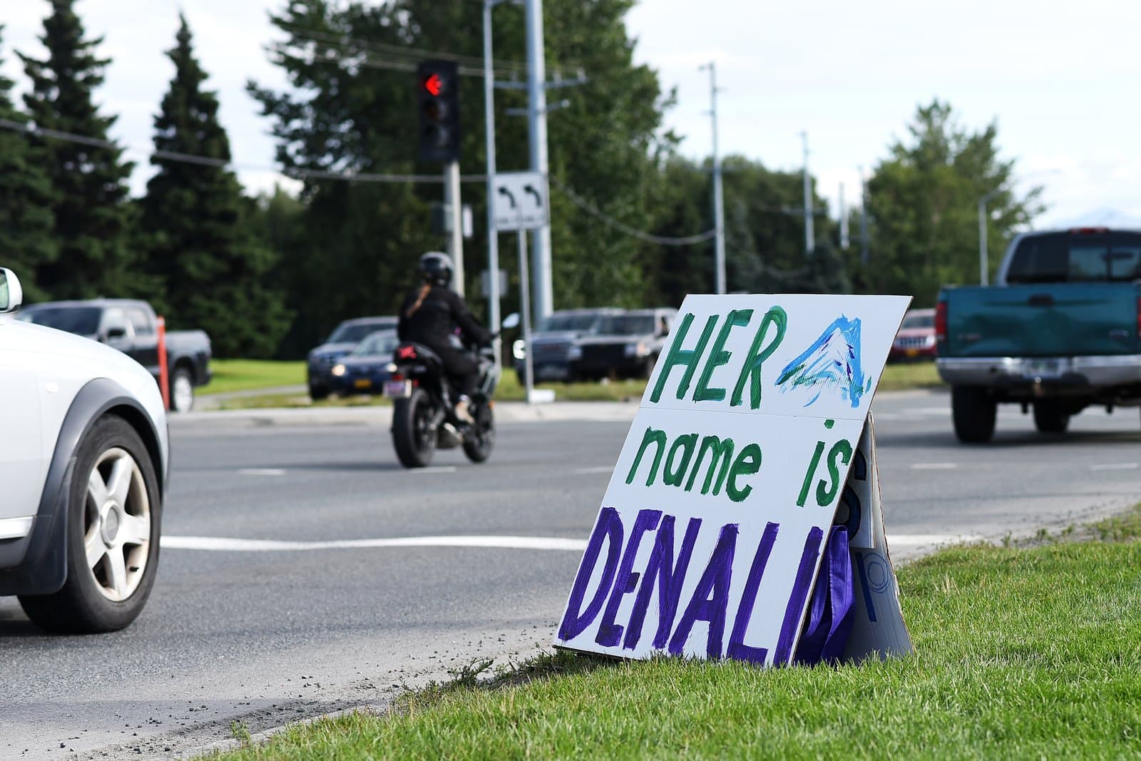 A hand-painted sign reading Her name is Denali stands on a grassy roadside in midtown Anchorage during a public protest.