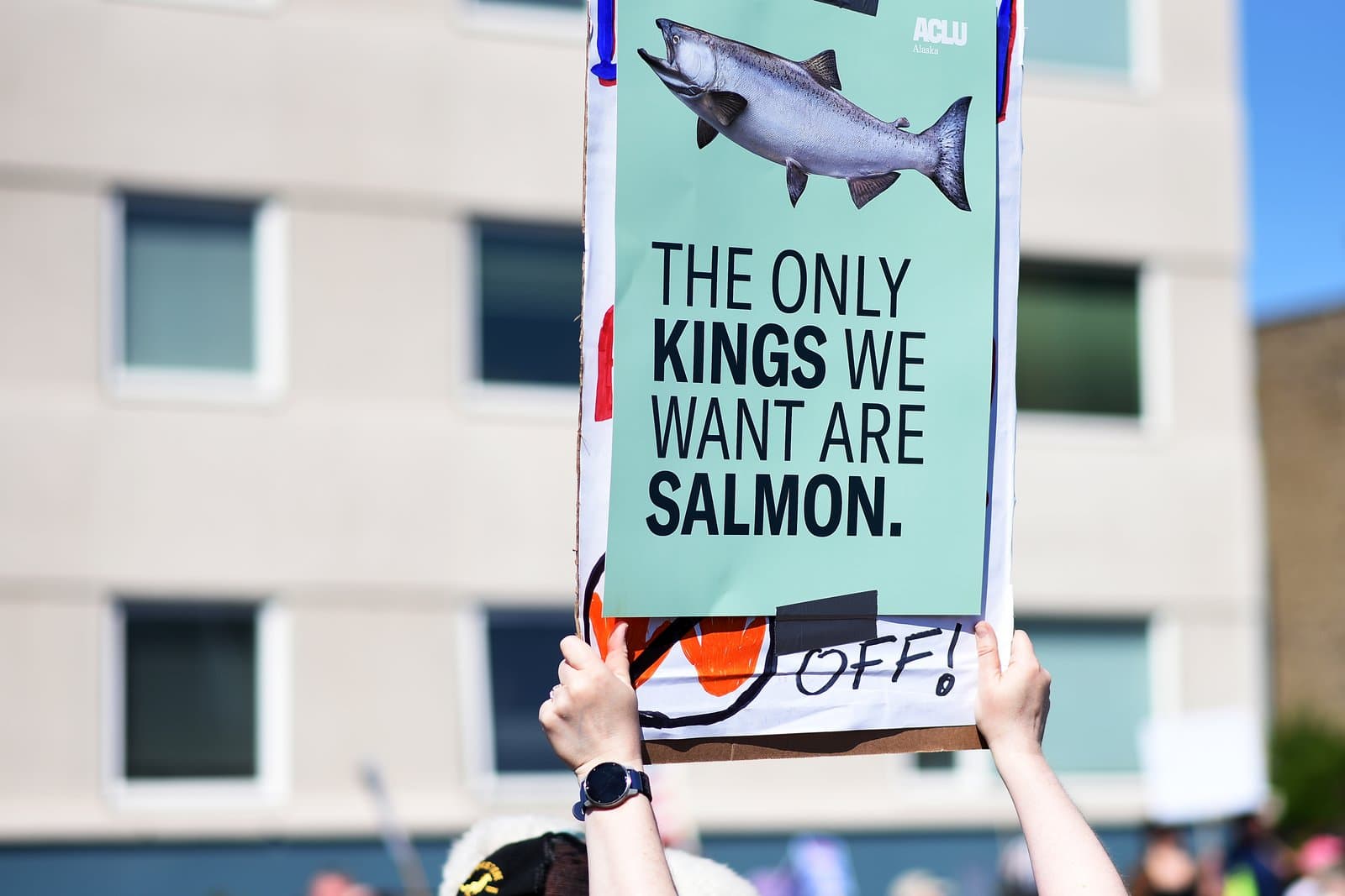 A protest sign held in Anchorage, Alaska, features a graphic of a king salmon and the text, The only kings we want are salmon.