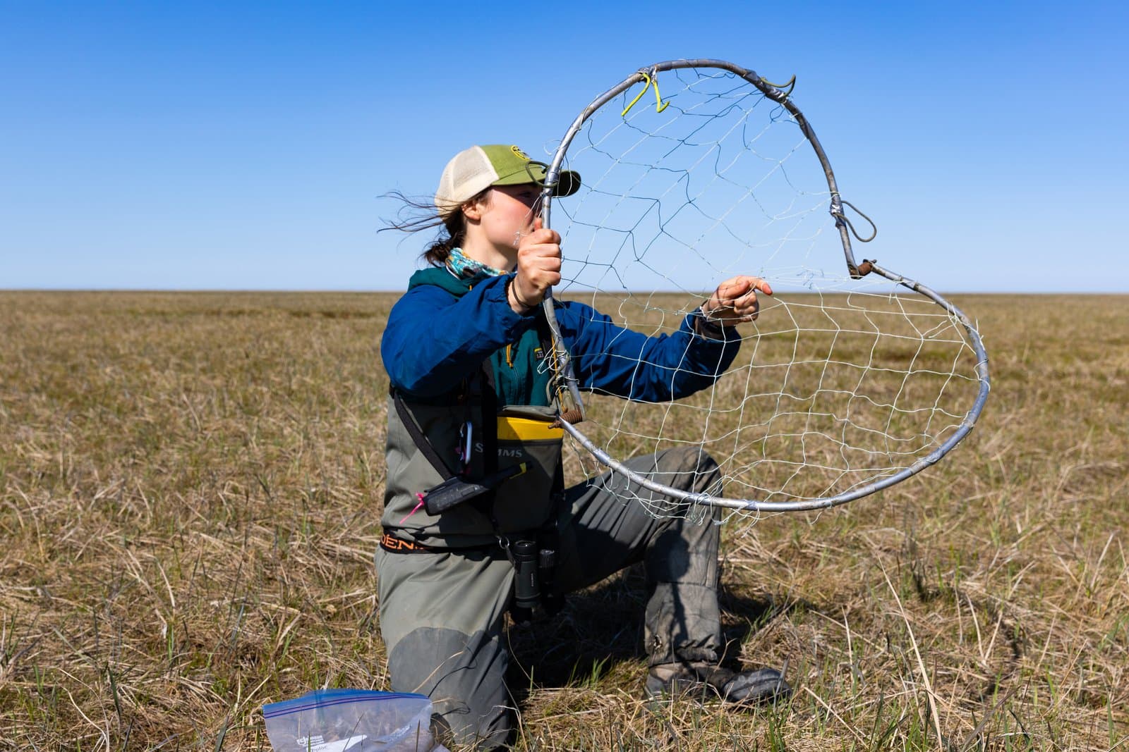 A researcher kneels in a vast, grassy tundra landscape while preparing a bownet for wildlife study in the Alaskan wilderness.