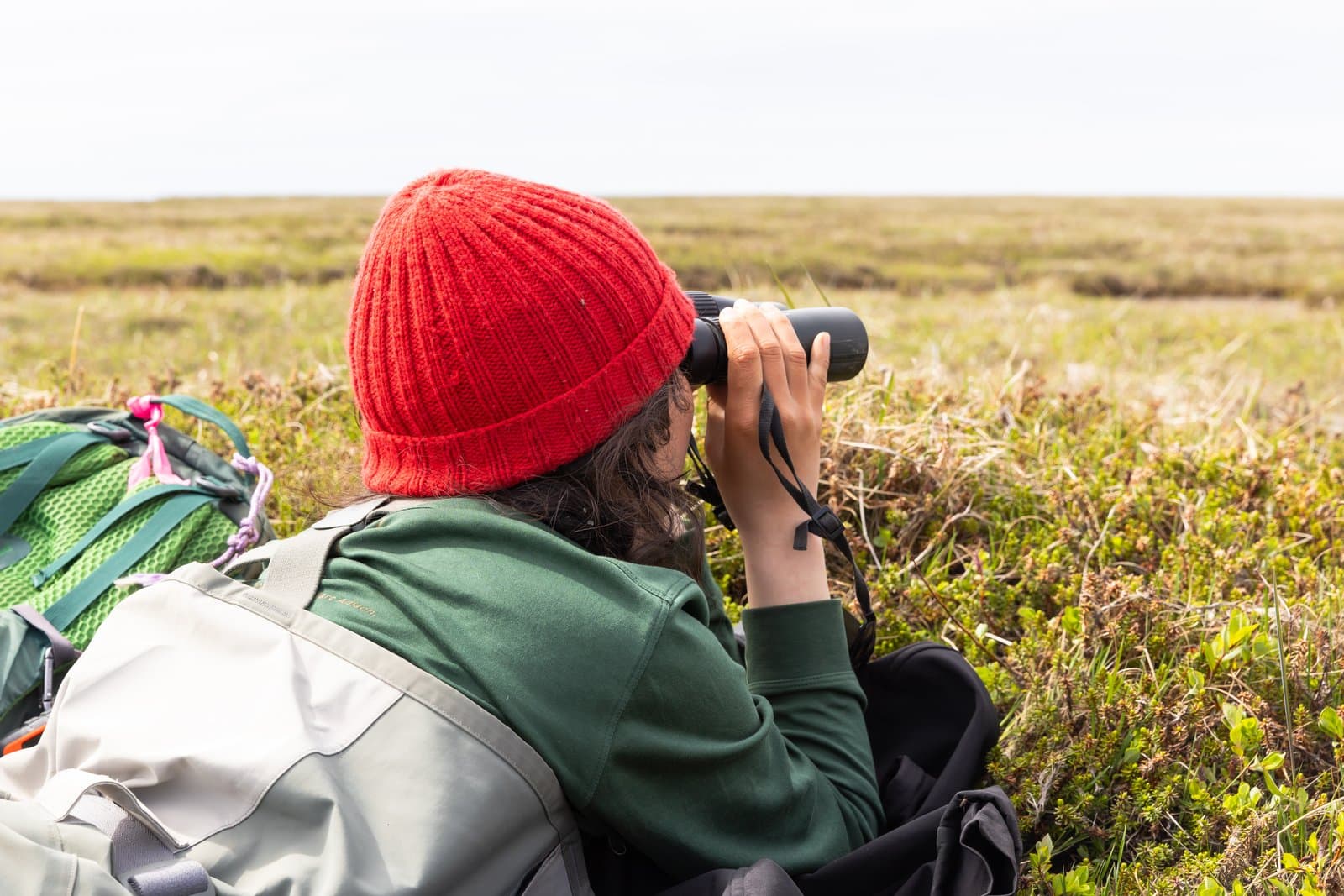 A person wearing a red beanie and green sweater uses binoculars to scan the open tundra landscape for birds during summer.