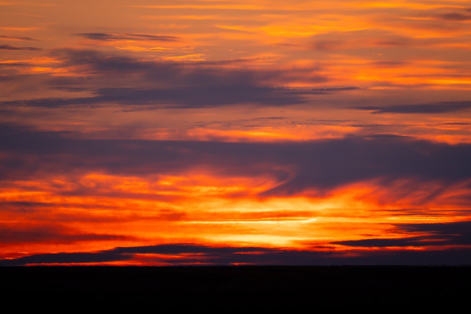 A brilliant orange and purple sunset illuminates the vast, flat tundra landscape during the summer solstice in rural Alaska.