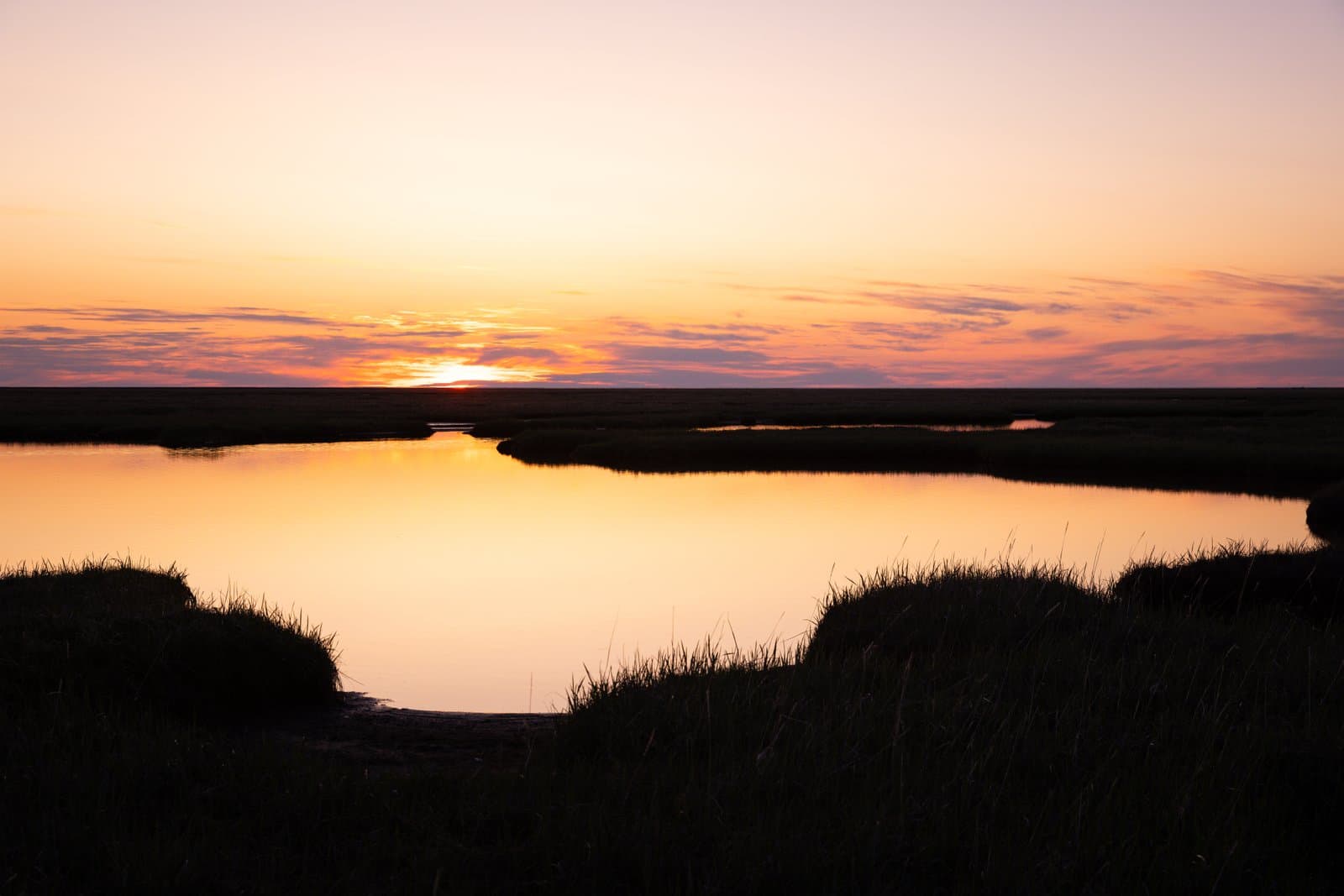 A vibrant sunset glows over a calm tundra pond, reflecting orange light across the water and silhouetting the surrounding marshy grasses.