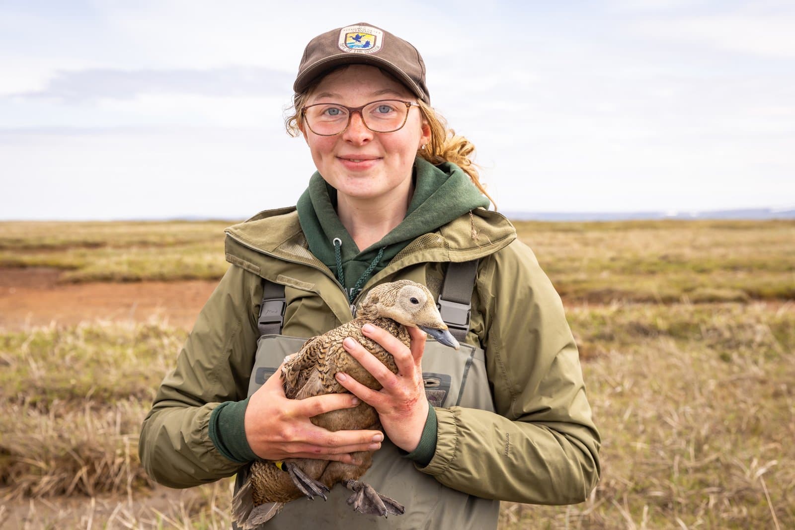A biologist wearing a U.S. Fish and Wildlife Service cap holds a female spectacled eider in a vast, open tundra landscape.