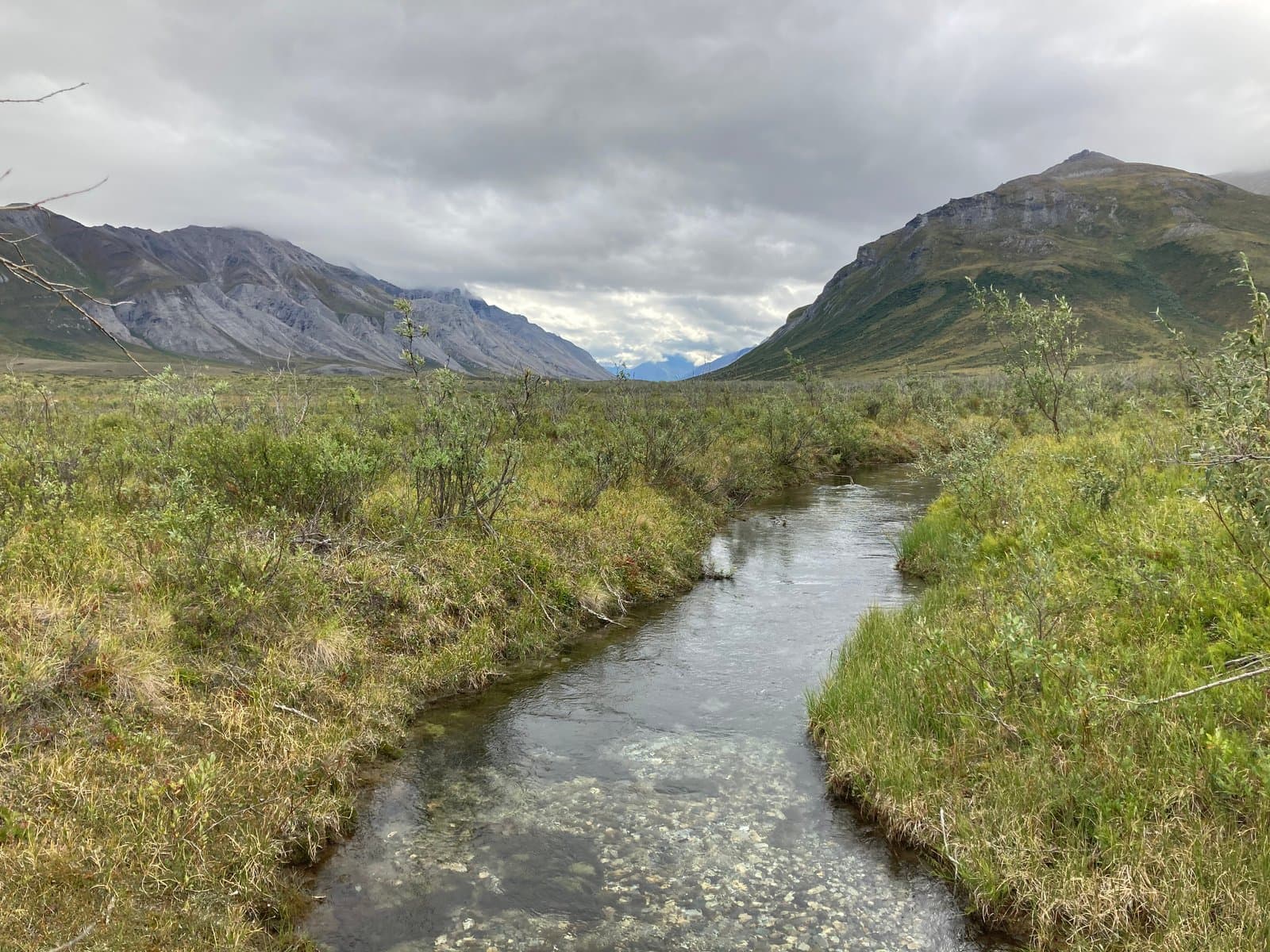 A small, clear creek flows through a green, brushy valley under an overcast sky, with rugged mountains rising on both sides.