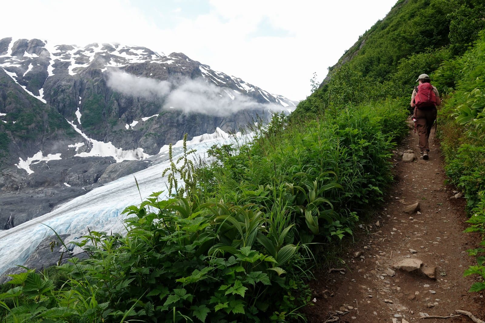 A hiker with a backpack walks along the dirt Exit Glacier Trail, bordered by lush green vegetation with a glacier visible in the background.