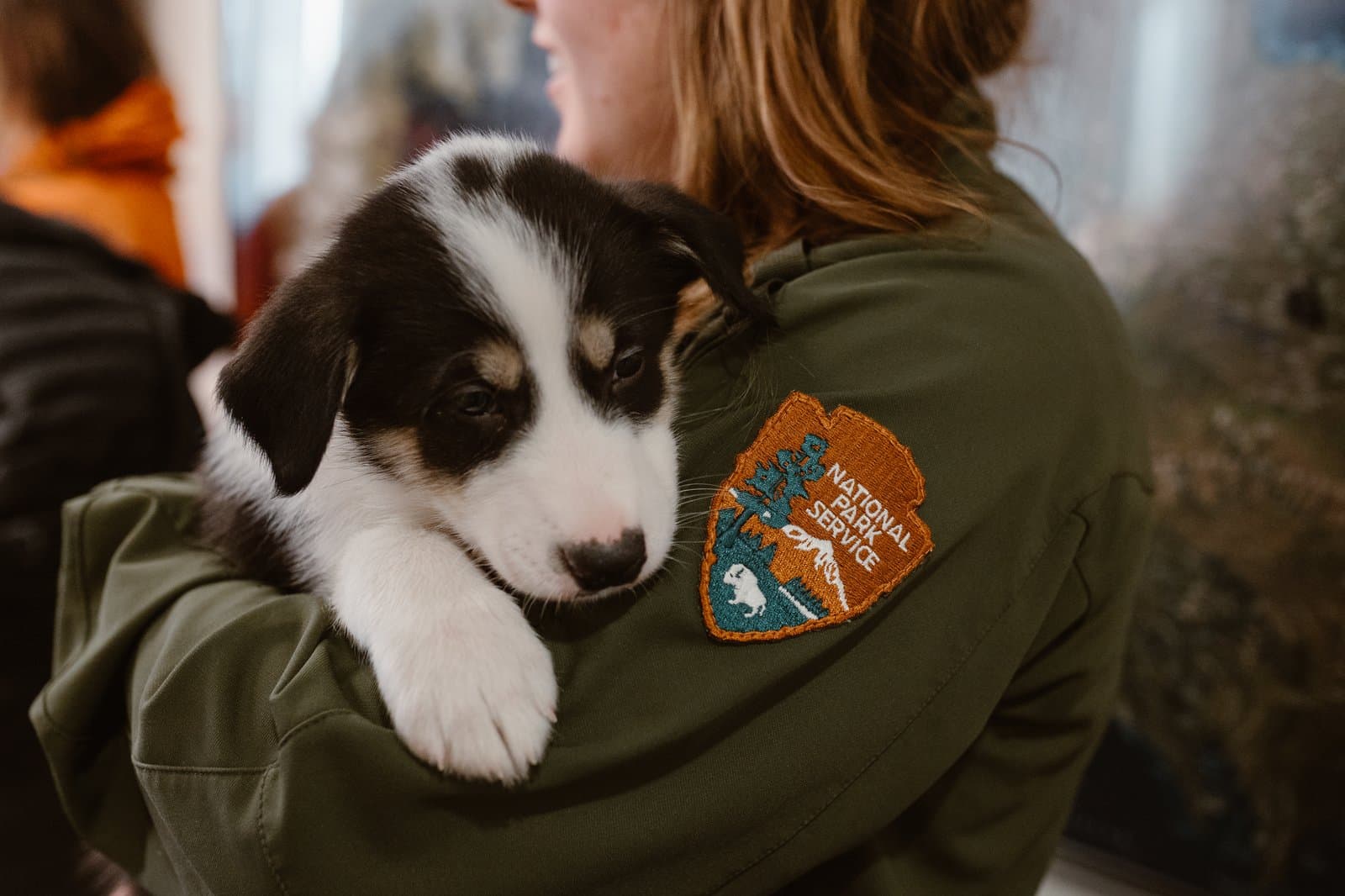 A National Park Service ranger holds a small black and white puppy while wearing a uniform with an official agency patch.