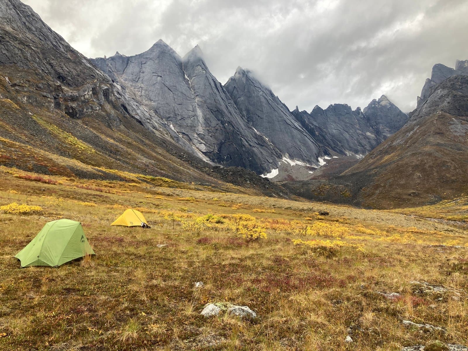 A green tent and a yellow tent are pitched in a vast, golden-hued valley, surrounded by rugged, grey mountains under a cloudy sky in Alaska's Arrigetch Valley.