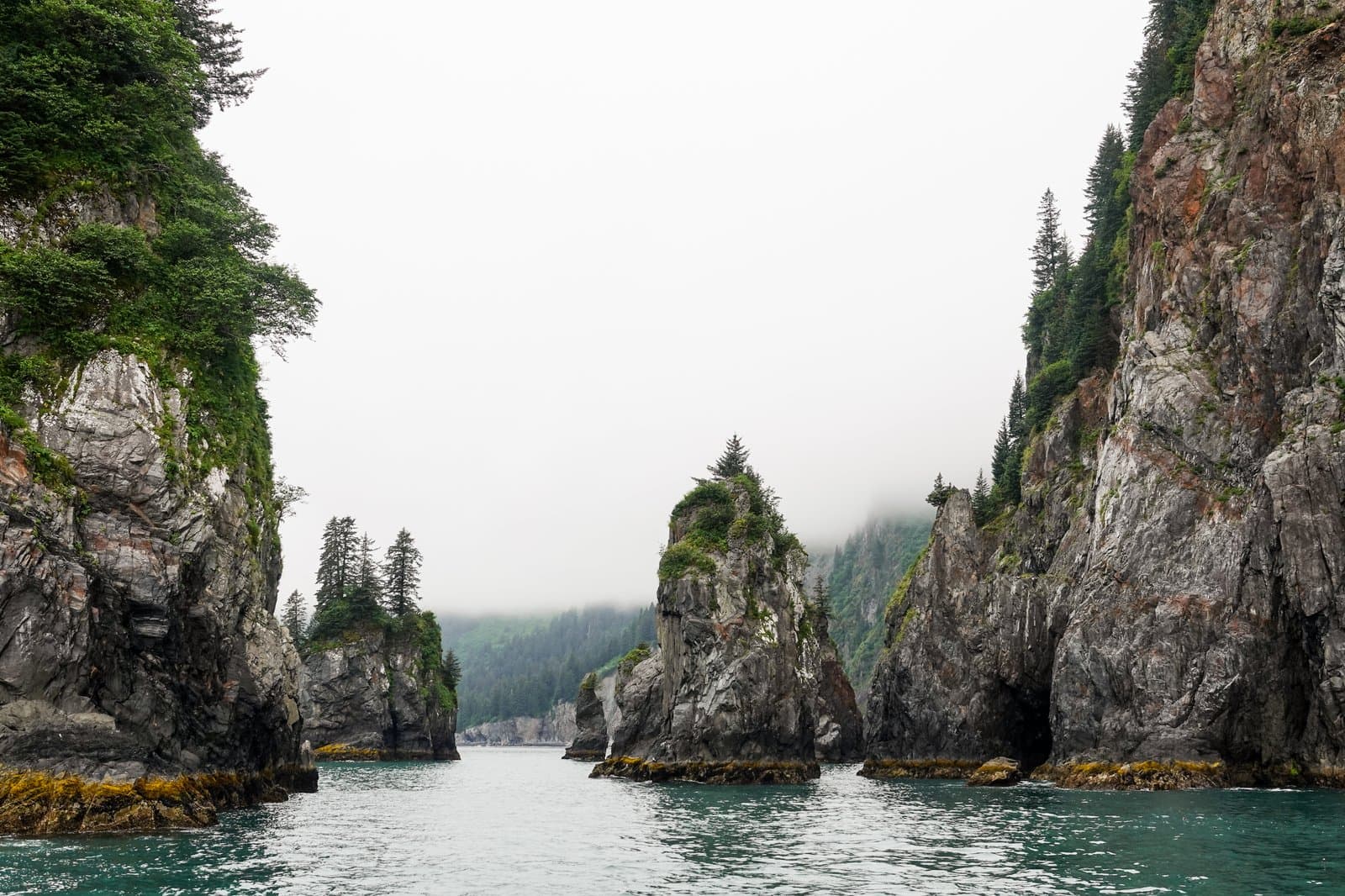 Jagged rock spires topped with evergreen trees rise from the calm waters of Spire Cove under a thick, low-hanging coastal fog.