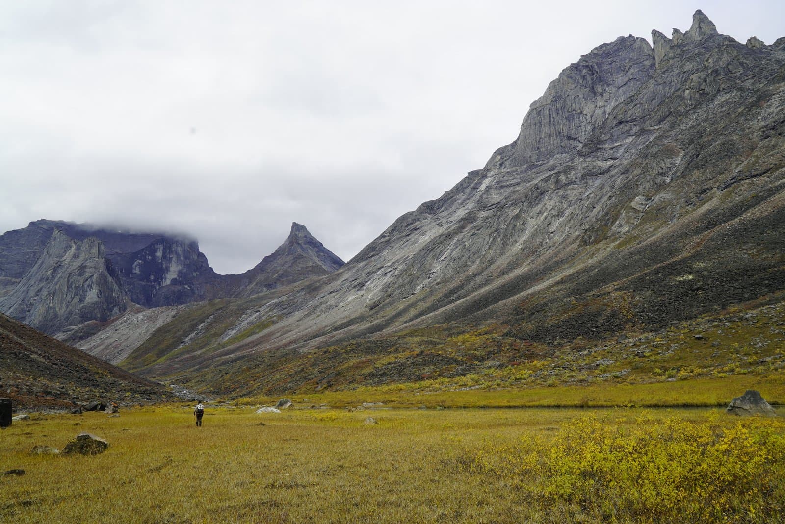 A lone ranger walks through a vast, golden-yellow valley surrounded by towering, rugged grey mountains under a cloudy sky in Alaska's remote Arrigetch Valley.