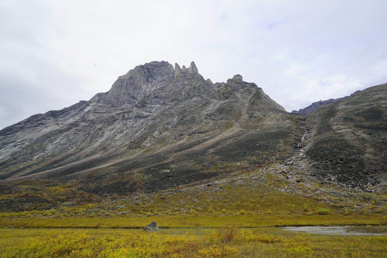 A wide shot of the majestic Arrigetch Peaks in Alaska's Brooks Range, showcasing their steep, rocky faces under an overcast sky. The valley floor in the foreground is covered in vibrant yellow and green autumn tundra vegetation, with a small stream or pond reflecting the sky.