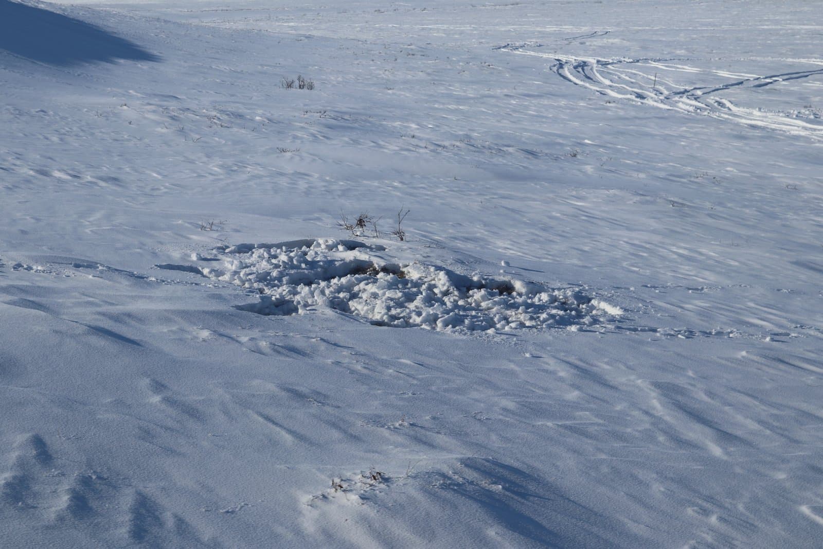 A caribou crater, formed by an animal digging through deep snow to reach vegetation, sits in a vast, snow-covered Arctic landscape.