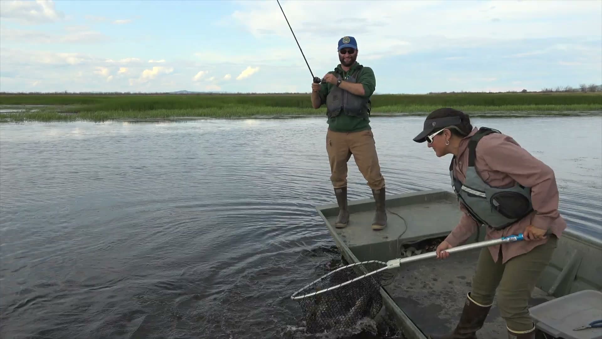 Cover image for article: ADF&G biologist breaks down how to fish for northern pike