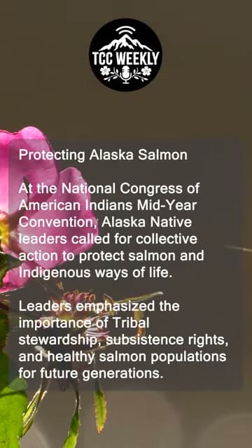 Cover image for article: Four Alaska Native groups call for national tribal unity on salmon