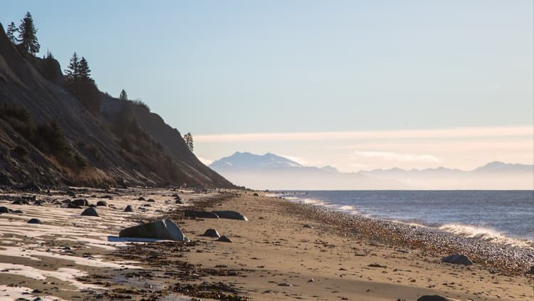 Colorado Inlets East side Cook Inlet setnetters must prove recent fishing to stay in ...
